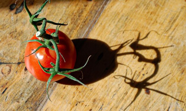 Eat Healthy In Hot Weather