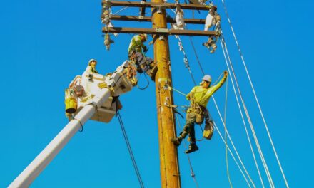 SCE Launches Wildfire Recovery Program