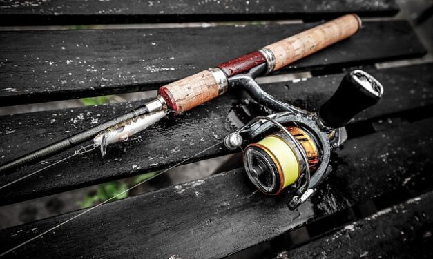 Early Morning Fishing at Peck Road Park