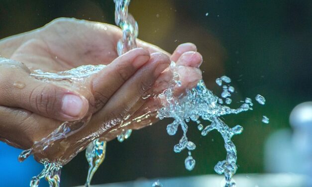 Staying Hydrated in Summer Heat