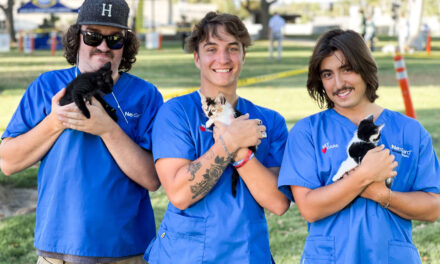 South El Monte Mobile Vet Clinics Return