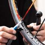 Services Sector Growth Continues Despite Headwinds