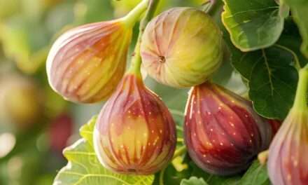 Fruit Tree Pruning Workshop Set