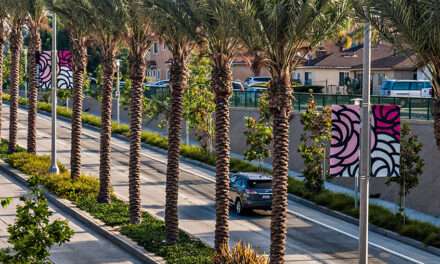 Rosemead Youth In Government Day Returns