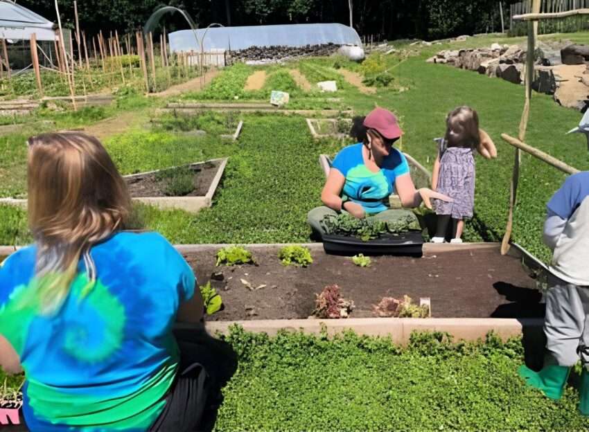 Rosemead Kids Gardening Camp Returns In August