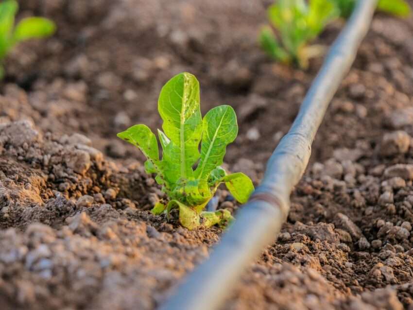 Free Water Conservation Workshops Coming This Fall