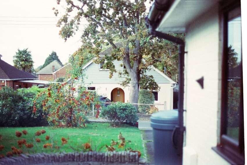 A suburban house with a garden and large tree